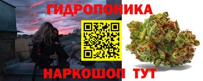 стафф Абакан