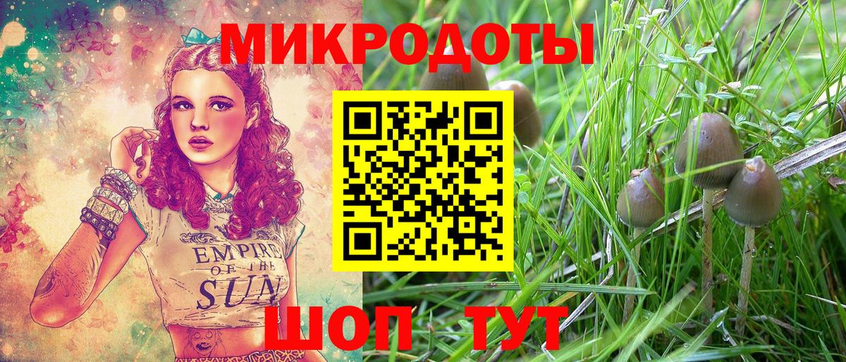 Галлюциногенные грибы Cubensis Апатиты