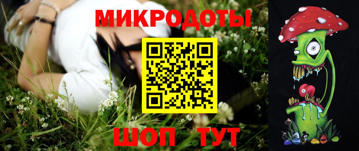 Псилоцибиновые грибы Psilocybine cubensis  Галлюциногенные грибы MAGIC MUSHROOMS  Апатиты  Вход с VPN 